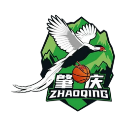 肇庆队